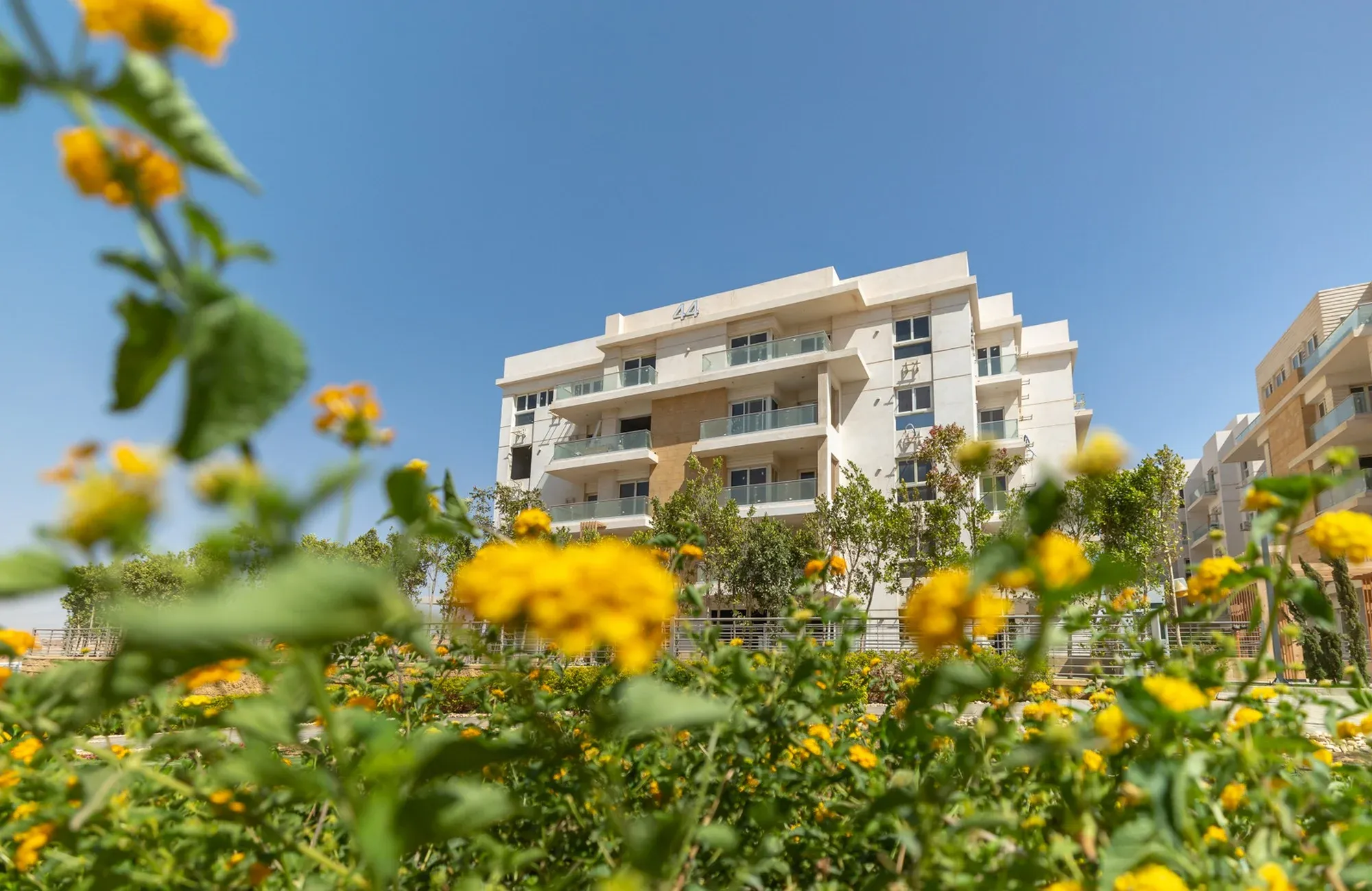 Mountain View Icity October