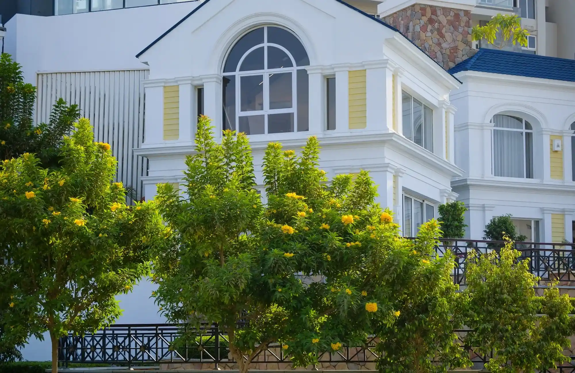 image slider
